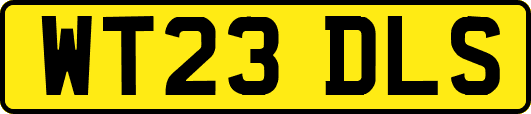 WT23DLS