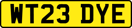 WT23DYE
