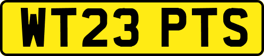 WT23PTS