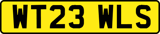 WT23WLS