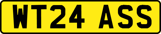 WT24ASS
