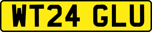 WT24GLU