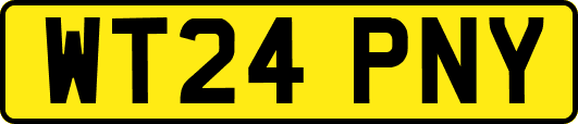 WT24PNY