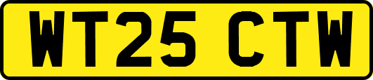 WT25CTW