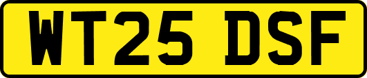 WT25DSF