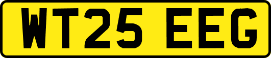 WT25EEG