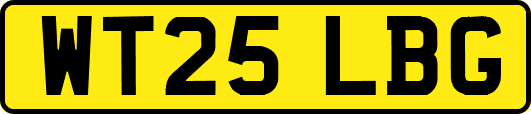WT25LBG