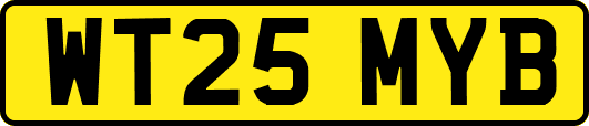 WT25MYB