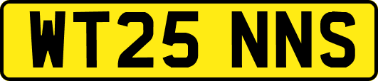 WT25NNS