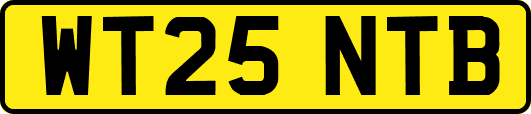 WT25NTB