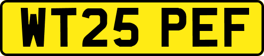 WT25PEF