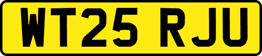 WT25RJU