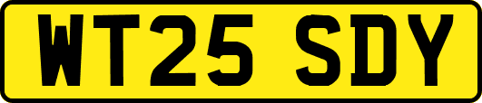 WT25SDY
