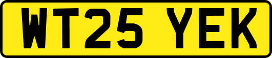 WT25YEK