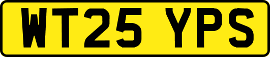 WT25YPS