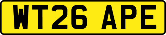 WT26APE