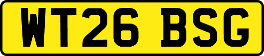 WT26BSG