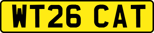 WT26CAT