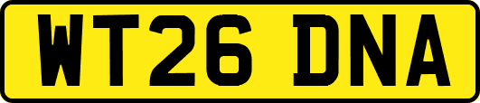WT26DNA