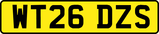 WT26DZS