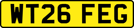 WT26FEG