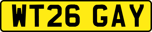 WT26GAY