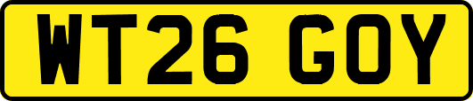 WT26GOY