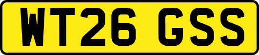 WT26GSS
