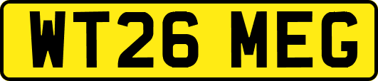 WT26MEG