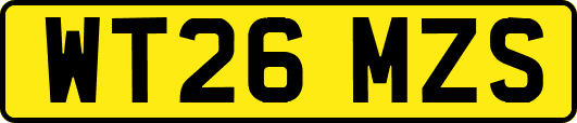 WT26MZS