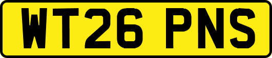 WT26PNS