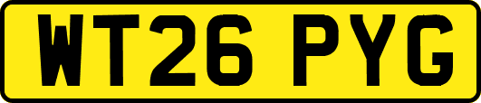WT26PYG