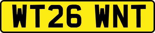 WT26WNT