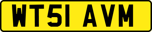 WT51AVM