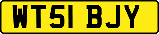 WT51BJY