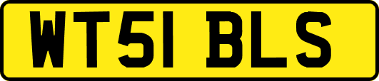 WT51BLS