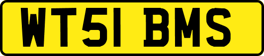 WT51BMS
