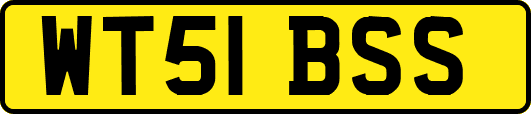 WT51BSS