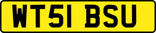WT51BSU