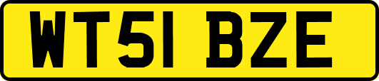 WT51BZE