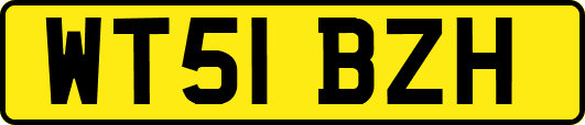 WT51BZH