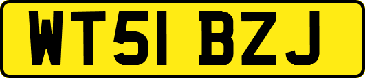 WT51BZJ