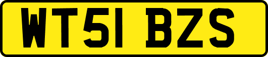 WT51BZS