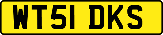 WT51DKS