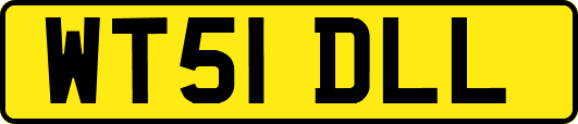 WT51DLL