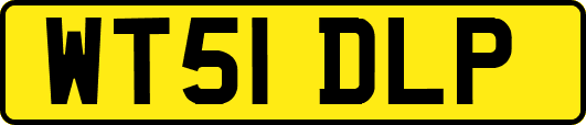 WT51DLP