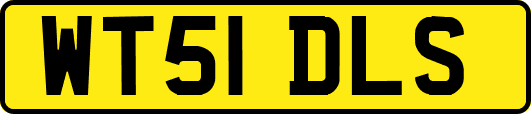 WT51DLS