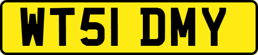 WT51DMY