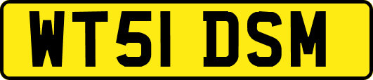 WT51DSM