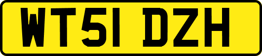 WT51DZH